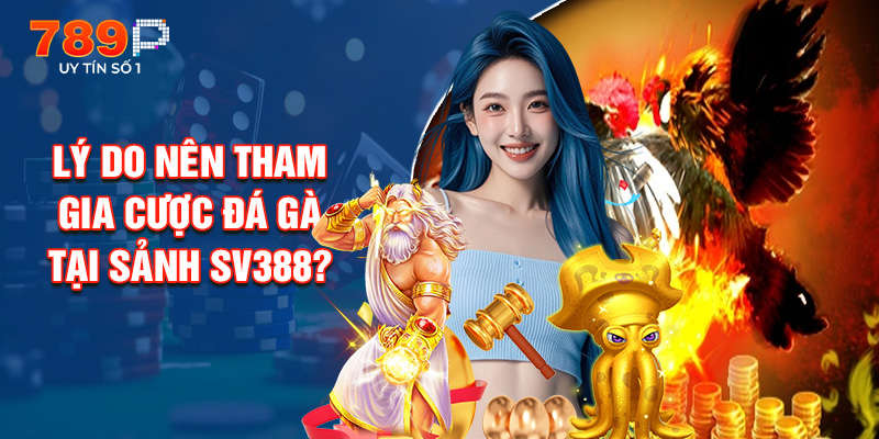 Lý Do Nên Tham Gia Cược Đá Gà Tại Sảnh SV388?