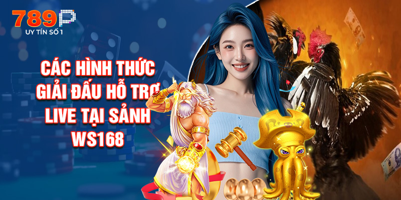 Các Hình Thức Giải Đấu Hỗ Trợ Live Tại Sảnh Ws168